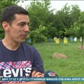 Vreme je rojenja pčela - šta učiniti ako primetimo roj