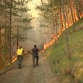 Požari na više lokacija, iznad Ušća gori oko 150 hektara šume – angažovani i helikopteri