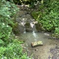 Pusti potok u selu Grbice kod Kragujevca čuva jezivu legendu: Turci pobili svatove