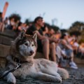 Pod pritiskom ali zajedno: 17. KROKODIL od 27. do 29. juna