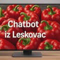 "A ti, kude si ti planiraja da ideš": Chatbot "progovorio" leskovački