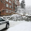 Stablo palo pod težinom snega i ubilo ženu! Horor u Sarajevu