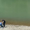 Na Drini, kod Malog Zvornika: Zatrovana voda ubijala ribe