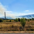 Požar između Vojnegovca i Belog Polja zahvatio više desetina hektara rastinja i šume