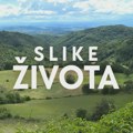 Slike života, nedelja u 15.15h: Domaćinski prag