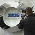 Predstavnici Baltičkih zemalja i Ukrajine najavili su da će bojkotovati Samit OEBS u Skoplju zbog dolaska Lavrova