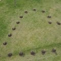 Srce od 21 stabla crvenog hrasta na Ušću za ubijene u masovnim ubistvima prošle godine