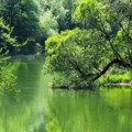 Rođendan Zavoda za zaštitu prirode – prve propise o životnoj sredini imali smo još u Dušanovom zakoniku
