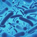 SZO upozorila na nagli porast otpornosti na antibiotike