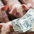 Поскупели прасићи током сезоне слава: Ево по којој цени могу да се купе и шта је са осталом стоком на пијацама