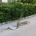 Da li znate da jedna rupa ima nadimak po jednom većniku?