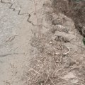 U Velikom Trnjanu polomljen most, meštani pozivaju gradske vlasti da ga poprave (VIDEO)