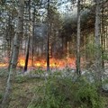 Gorela šuma i nisko rastinje iznad Knez Sela, požar lokalizovan