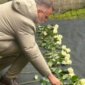 Stručnjaci Muzeja žrtava genocida učestvuju u godišnjoj konferenciji ihra