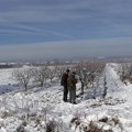 Kako na voće u Jablaničkom okrugu utiču sneg i mraz