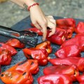 Zimnica po bakinom receptu plane začas, Stojiljković dnevno ispeku po 40 kg paprika