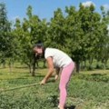 Muž joj je najuspešniji pevač, a ona kopa njivu: Nedavno mu rodila dete, sad je sestra razotkrila potpuno