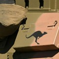 Pat Konroj: Australija neće unapred pripremati svoje trupe za bilo kakav sukob