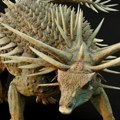Otkriven dinosaurus 'panker' sa metarskim šiljcima