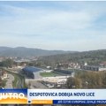 Despotovica dobija novo lice