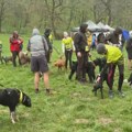 Prva trail trka sa psima u Beogradu: Zašto je važno da trčite sa svojim psom