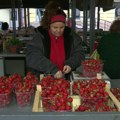 Počela sezona jagoda, prodavci na pijaci kažu da se manje kupuju nego lane, iako se cena nije menjala