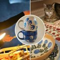 Umetnička keramika dizajnirana u preduzetnički uspeh: Novosađanka Tamara Savić je od talenta napravila brend, ovo je njena…