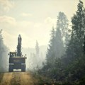 Stroga EU regulativa ugrožava šume Finske i Švedske: Premijeri zabrinuti za industriju, uputili zvanično pismo šefici EK