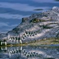 Katastrofa u Australiji Potraga za bivšim radio voditeljem u vodama prepunim krokodila