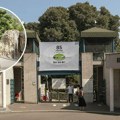 Ovako će izgledati novi Zoo vrt na Adi Ciganliji: Neće biti tradicionalnih kaveza, pogledajte šta je sve u planu