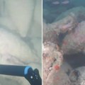 "Jedno od najvažnijih otkrića u podvodnoj arheologiji": Neverovatno otkriće na Siciliji šokiralo arheologe