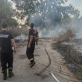 Dačić: Od 5. avgusta 1.700 intervencija zbog požara, Leskovac među četiri velika žarišta