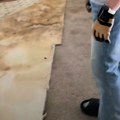 Uselili su se u kuću staru 120 godina, a onda osetili čudan miris: Kada su podigli tepih, usledio je šok (video)
