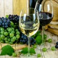 Tamburaši, besplatno vino i kobasice! Kapije Grožđebala otvaraju se u četvrtak na Vršačkom bregu. 68. "Dani berbe grožđa" do…