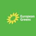 Evropska zelena partija: Istražiti neregularnosti izbora u Srbiji na međunarodnom nivou
