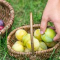 Nije ni narandža ni limun Ovo voće sadrži najviše vitamina C