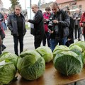 Kupusijada u subotu u Futogu, režim saobraćaja i trasa autobusa izmenjeni od petka