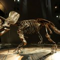 Da nije bilo asteroida dinosaurusi bi još bili tu