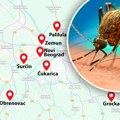 (Mapa): Već su nikad veći, a šta nam tek sledi kad posle silnih kiša upekne sunce?! Na ovim mestima ima najviše komaraca -…