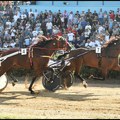 Konjički sport: tradicija Ljubičeva