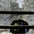 Navijači ubili vozača autobusa (video)