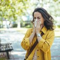 Alergija ili prehlada: Kako prepoznati razliku?