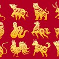 Otkrijte šta vam kineski horoskop za januar 2024. Godine donosi: Neki će se opariti i to dosta, a drugima će se desiti…