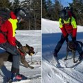 Otkrivamo koja rasa psa je pronašla nestalu devojčicu
