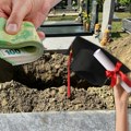 Grobare sa doktoratom plaćaju 1.500 evra! U komšiluku raspisan konkurs za posao, evo ko može da se prijavi