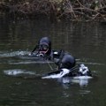 U toku šestonedeljna obuka za ronioce Vojske Srbije