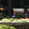 Sutra pretežno sunčano i toplije, najviša temperatura od 16 do 23 stepena