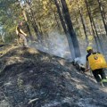 Narednih dana u Šumadiji temperature oko 40 C, kragujevački vatrogasci u pripravnosti