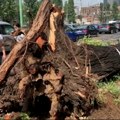 Jedan poginuli, više ozlijeđenih u oluji u Švicarskoj, nevrijeme na sjeveru Italije