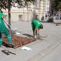 Zelenilo uklanja posledice superćelijske oluje Početkom novembra počinje sadnja novog drveća u Novom Sadu